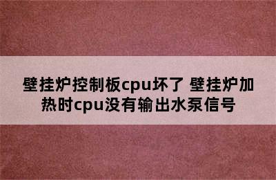 壁挂炉控制板cpu坏了 壁挂炉加热时cpu没有输出水泵信号